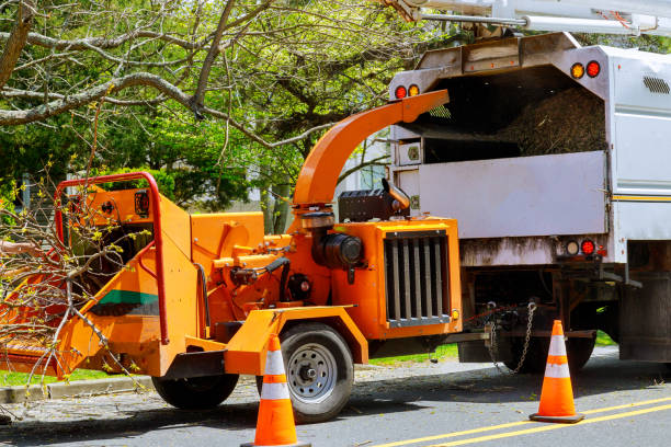 Best Tree Preservation Services  in Harlowton, MT